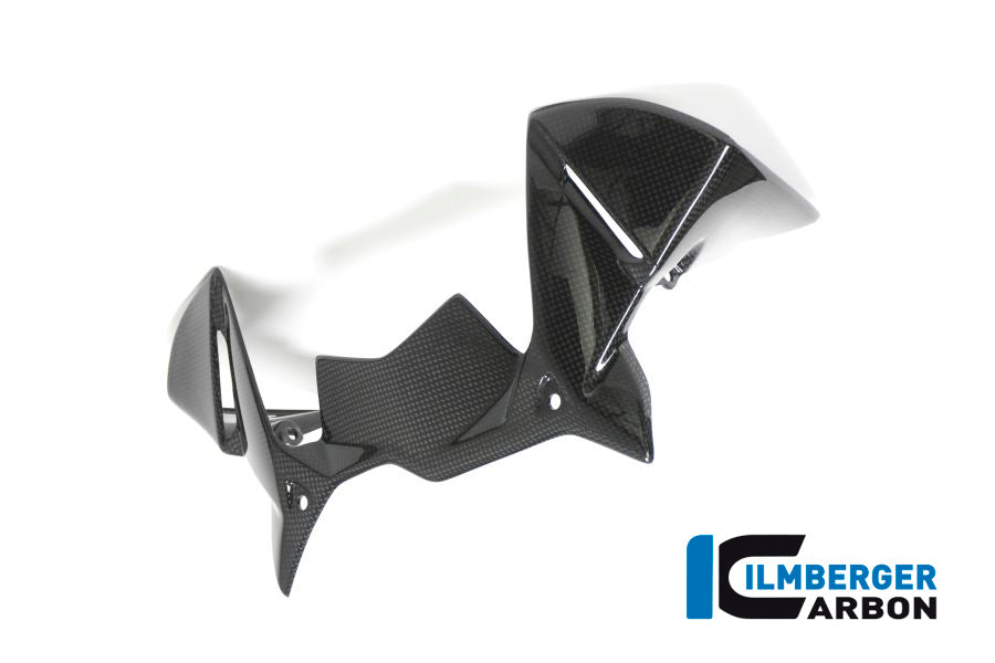 WINDPROTECTOR ON THE INSTRUMENTS BMW R 1200 GS´17