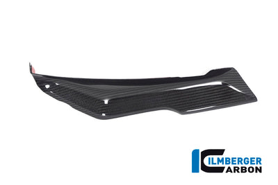 COVER UNDER THE FRONT FAIRING LEFT SIDE BMW R 1250 RS