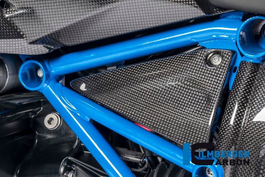 TRIANGULAR FRAME COVER LEFT CARBON - BMW R 1200 GS (LC) FROM 2013 / R 1200 R (LC) FROM 2015 / R 1200