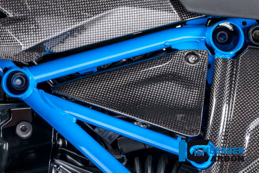 TRIANGULAR FRAME COVER LEFT CARBON - BMW R 1200 GS (LC) FROM 2013 / R 1200 R (LC) FROM 2015 / R 1200