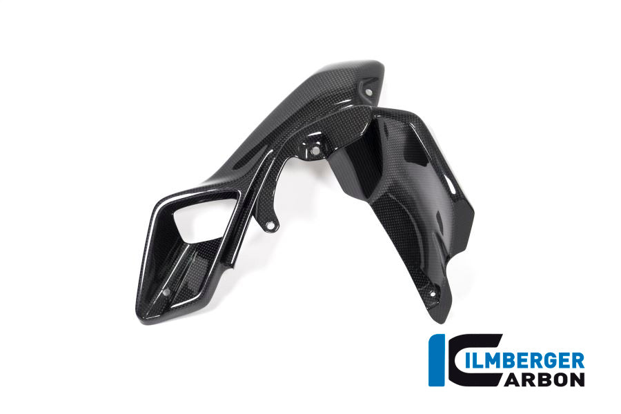 AIRTUBE LEFT (UPPER WATERCOOLER COVER) CARBON - BMW R 1200 GS (LC FROM 2013)