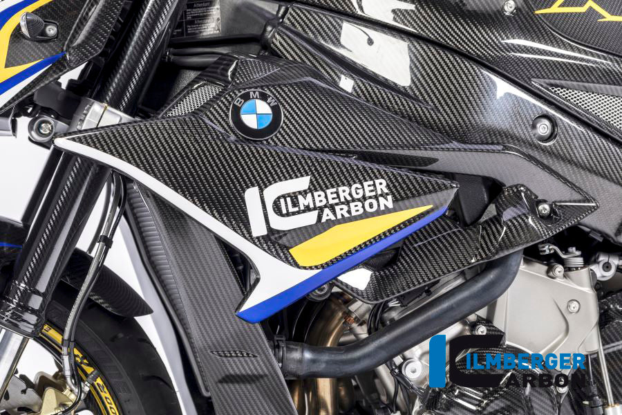 FAIRING SIDE PANEL (LEFT) - BMW S 1000 RR (AB 2017)