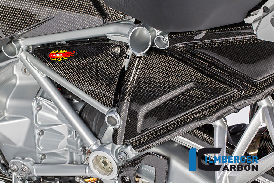 TRIANGULAR FRAME COVER LEFT CARBON - BMW R 1200 GS (LC) FROM 2013 / R 1200 R (LC) FROM 2015 / R 1200