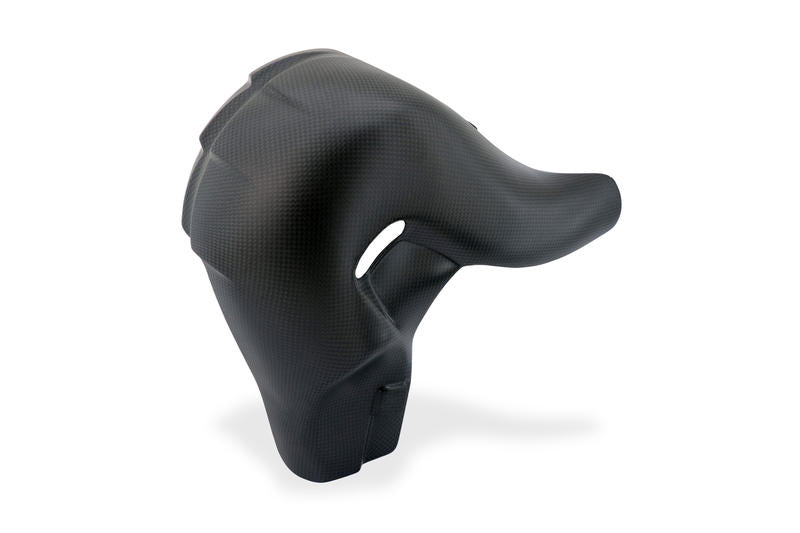 Exhaust rear heat guard Ducati Streetfighter V4 - Carbon fiber