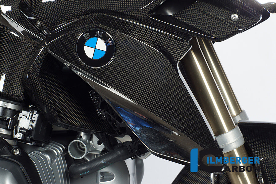RADIATOR COVER (RIGHT) CARBON - BMW R 1200 GS (LC FROM 2013)