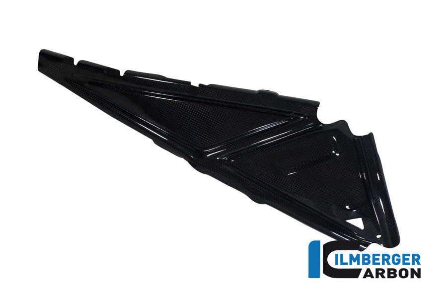 REAR FRAME COVER RIGHT CARBON - BMW R 1200 GS (LC FROM 2013)
