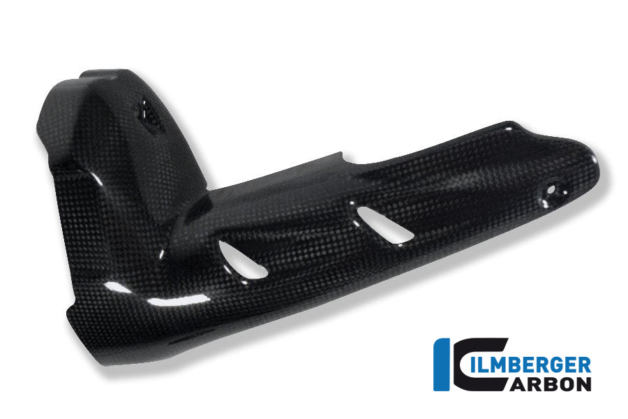 SILENCER PROTECTOR CARBON - BMW R 1200 GS (LC FROM 2013)