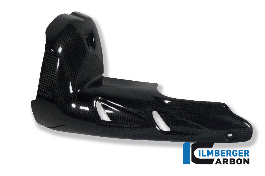 SILENCER PROTECTOR CARBON - BMW R 1200 GS (LC FROM 2013)