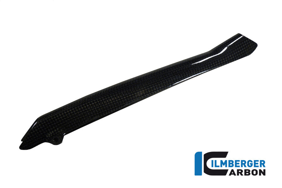 BRAKE-PIPE COVER CARBON - BMW R 1200 GS (LC) FROM 2013 / R 1200 R (LC) FROM 2015 / R 1200 RS (LC) FR