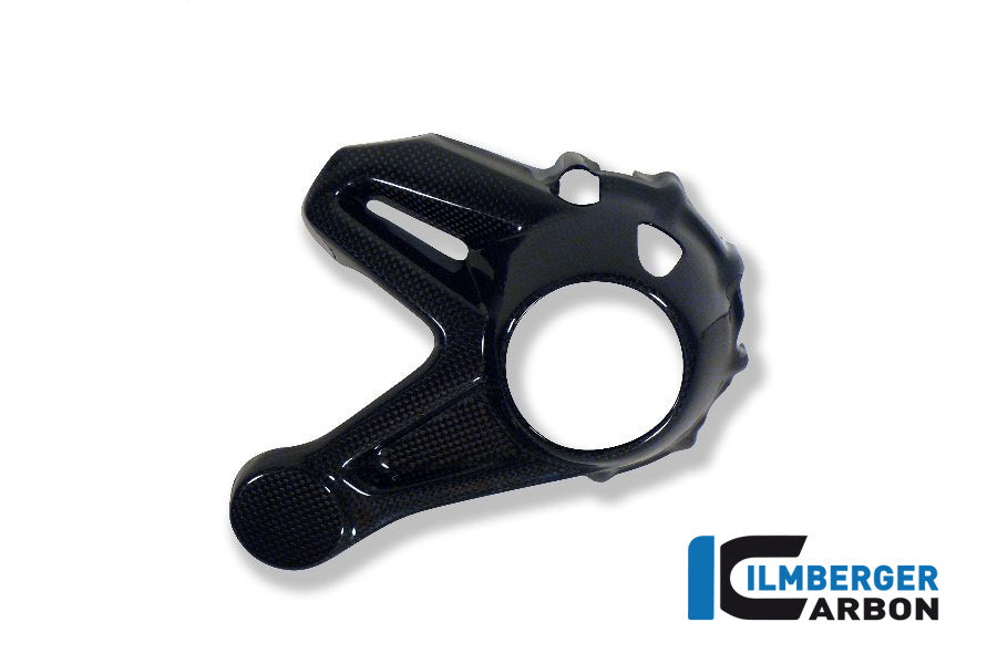 BEVEL DRIVE HOUSING PROTECTOR CARBON - BMW R 1200 GS (LC FROM 2013)