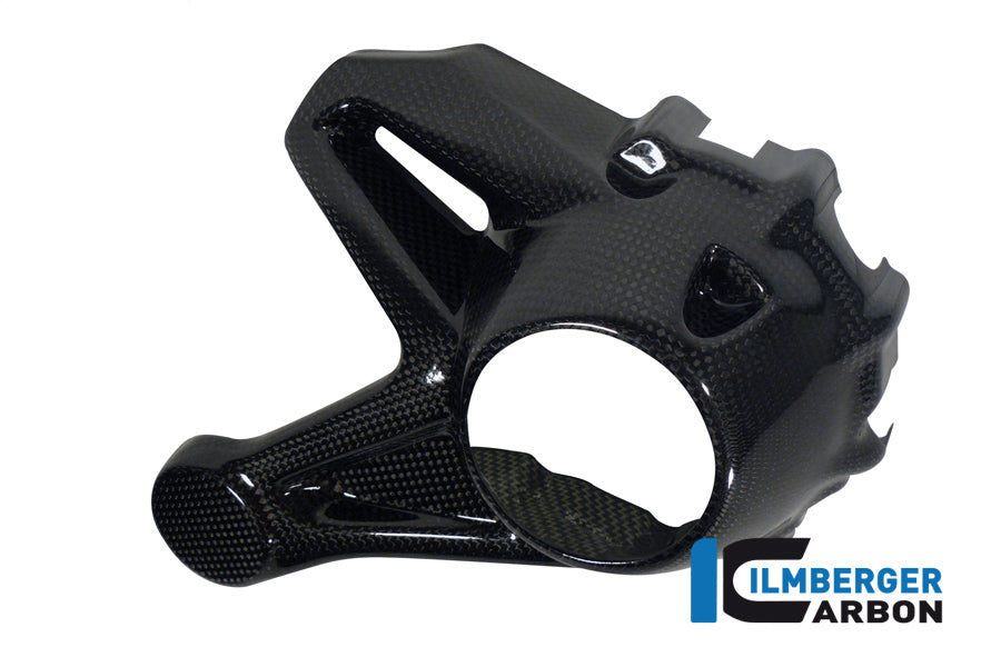 BEVEL DRIVE HOUSING PROTECTOR CARBON - BMW R 1200 GS (LC FROM 2013) / R 1200 R (LC) FROM 2015 / R 12