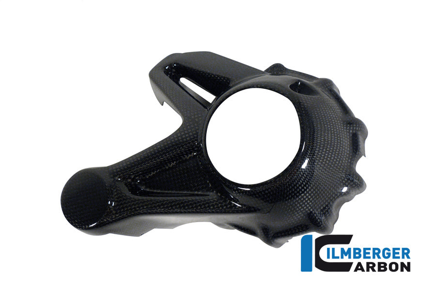 BEVEL DRIVE HOUSING PROTECTOR CARBON - BMW R 1200 GS (LC FROM 2013) / R 1200 R (LC) FROM 2015 / R 12