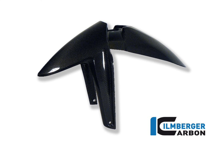 FRONT MUDGUARD CARBON - BMW R 1200 GS (LC FROM 2013)