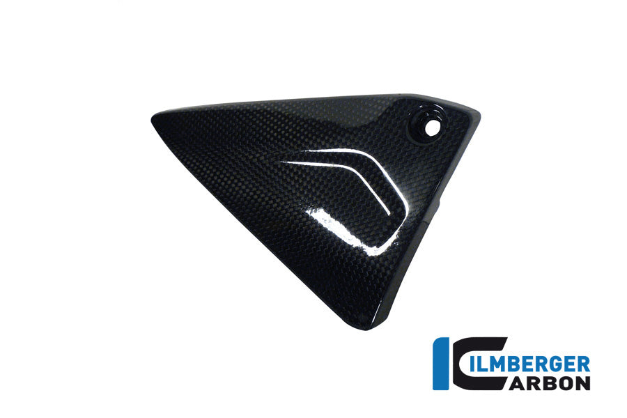 TRIANGULAR FRAME COVER LEFT CARBON - BMW R 1200 GS (LC) FROM 2013 / R 1200 R (LC) FROM 2015 / R 1200