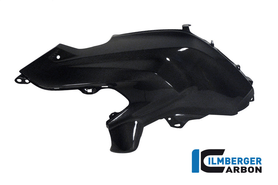 TANK SIDE COVER LEFT CARBON - BMW R 1200 GS (LC FROM 2013)