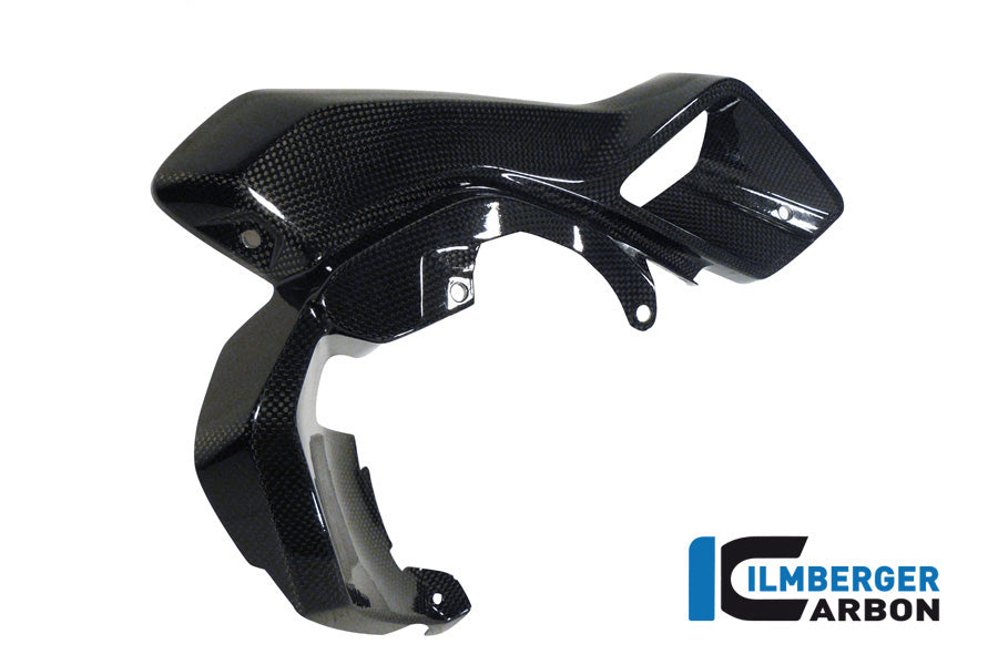 AIRTUBE RIGHT (UPPER WATERCOOLER COVER) CARBON - BMW R 1200 GS (LC FROM 2013)