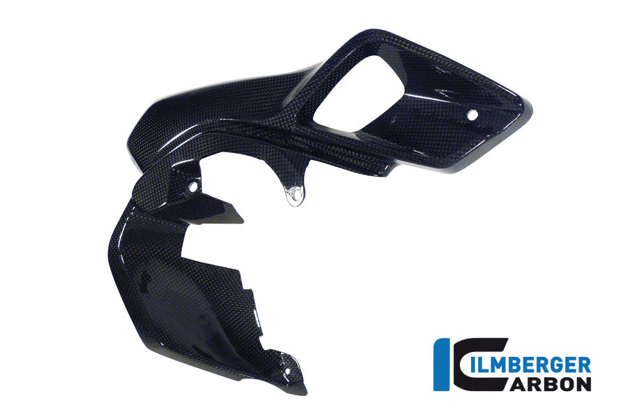 AIRTUBE RIGHT (UPPER WATERCOOLER COVER) CARBON - BMW R 1200 GS (LC FROM 2013)