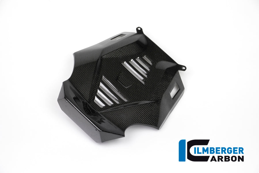 BELLYPAN CENTRAL PART CARBON - BMW R 1200 R (LC) FROM 2015 / BMW R 1200 RS (LC) FROM 2015