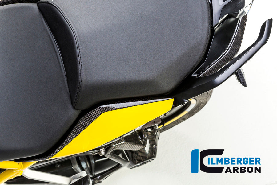 UNDERSEAT SIDE PANELS LEFT CARBON - BMW R 1200 R (LC) FROM 2015 / BMW R 1200 RS (LC) FROM 2015