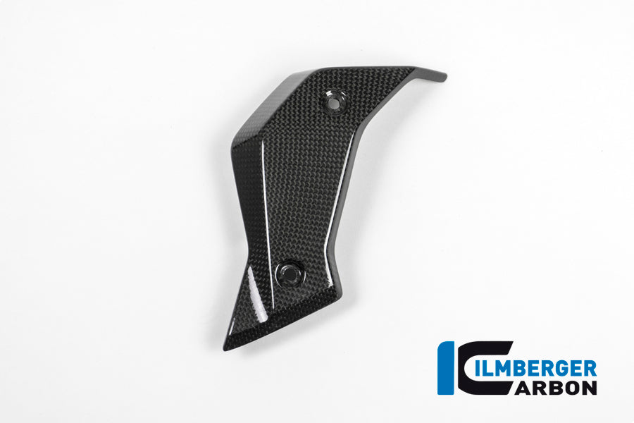 WATERCOOLER COVER LEFT SIDE CARBON - BMW R 1200 R (LC) FROM 2015