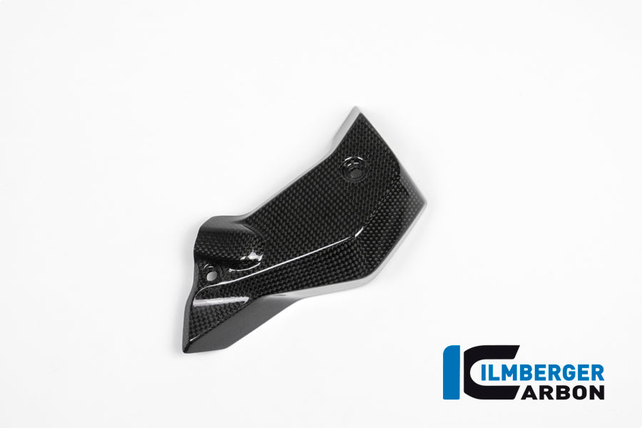 WATERCOOLER COVER RIGHT SIDE CARBON - BMW R 1200 R (LC) FROM 2015
