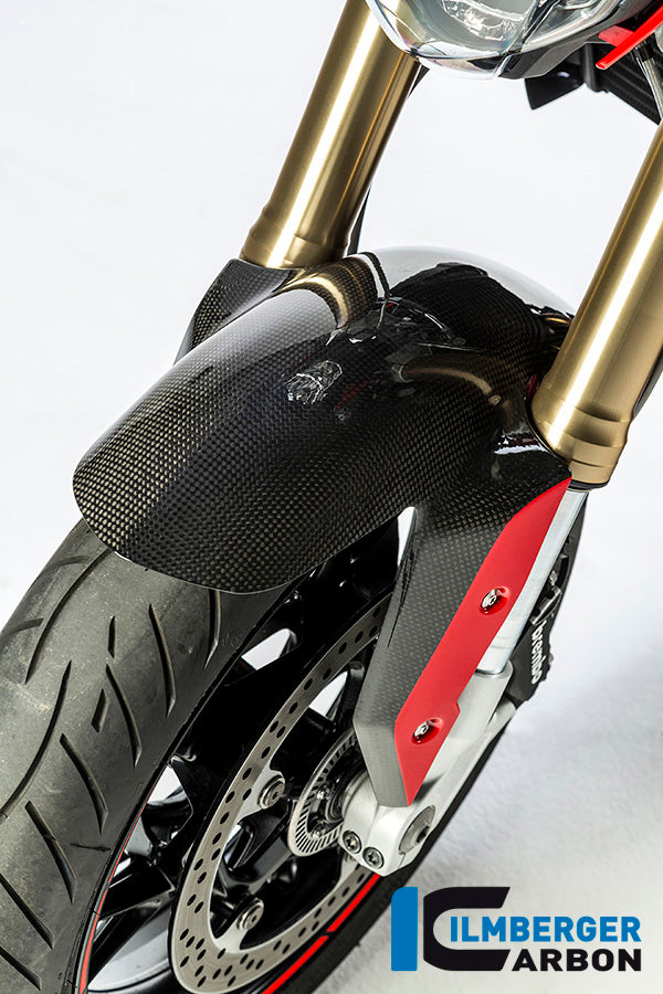 FRONT MUDGUARD CARBON - BMW R 1200 R (LC) FROM 2015 / BMW R 1200 RS (LC) FROM 2015