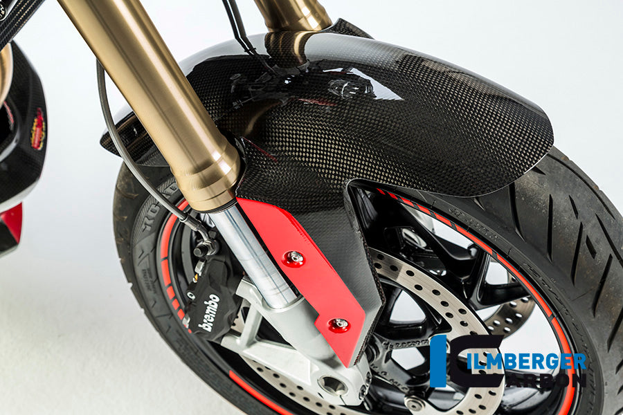 FRONT MUDGUARD CARBON - BMW R 1200 R (LC) FROM 2015 / BMW R 1200 RS (LC) FROM 2015