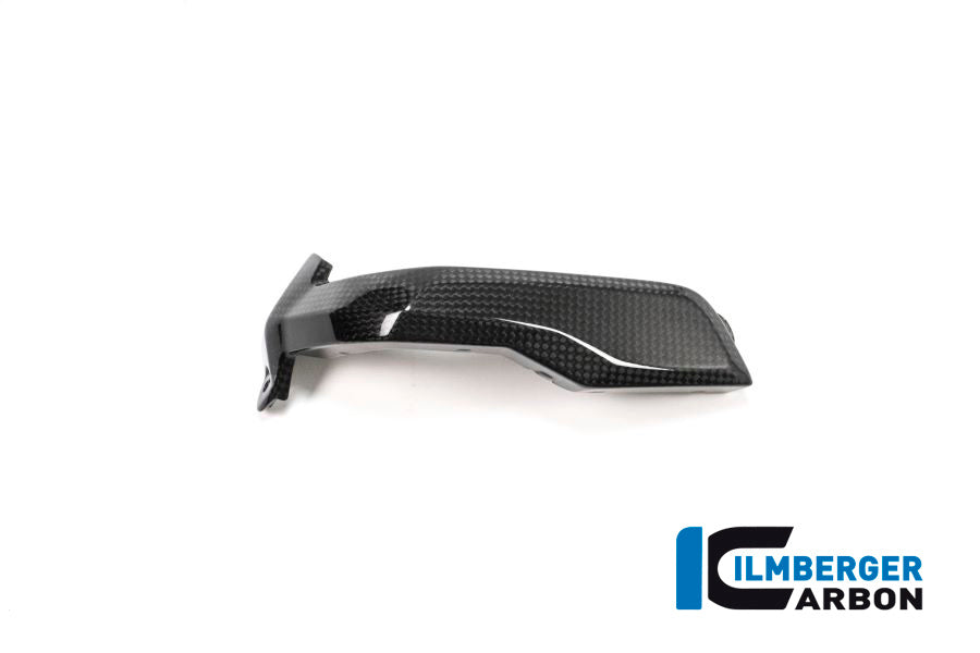 SPARK PLUG COVER LEFT SIDE CARBON - BMW R 1200 GS (LC) FROM 2013 TO 2015