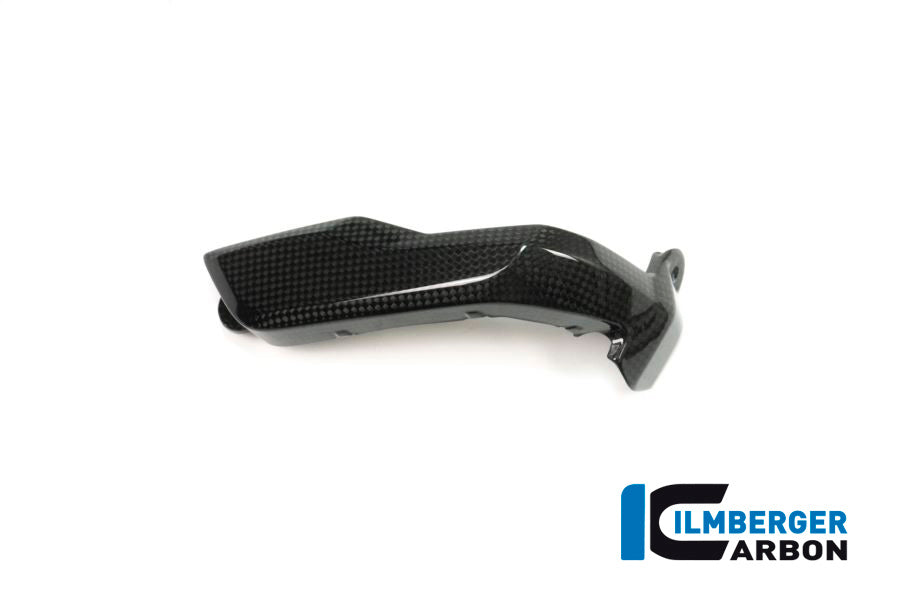SPARK PLUG COVER LEFT SIDE CARBON - BMW R 1200 GS (LC) FROM 2013 TO 2015