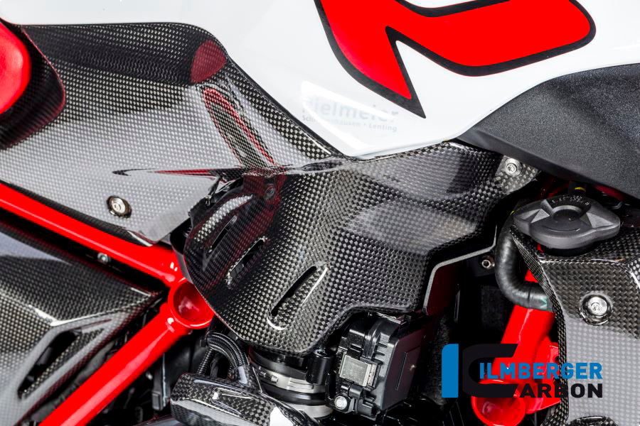 SIDE PANEL UNDER THE TANK RIGHT SIDE CARBON - BMW R 1200 R (LC) FROM 2015
