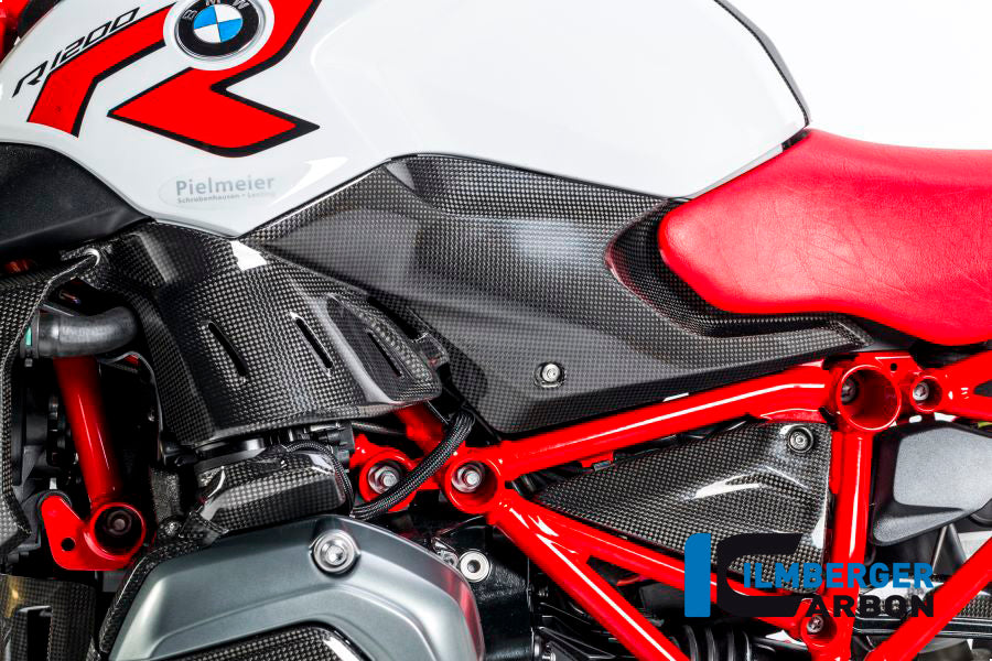 SIDE PANEL UNDER THE TANK LEFT SIDE CARBON - BMW R 1200 R (LC) FROM 2015