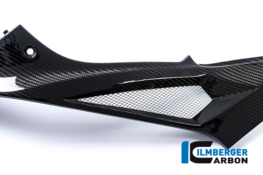 TANK SIDE PANEL RACING (LEFT SIDE) CARBON - BMW S 1000 RR (FROM 2015)