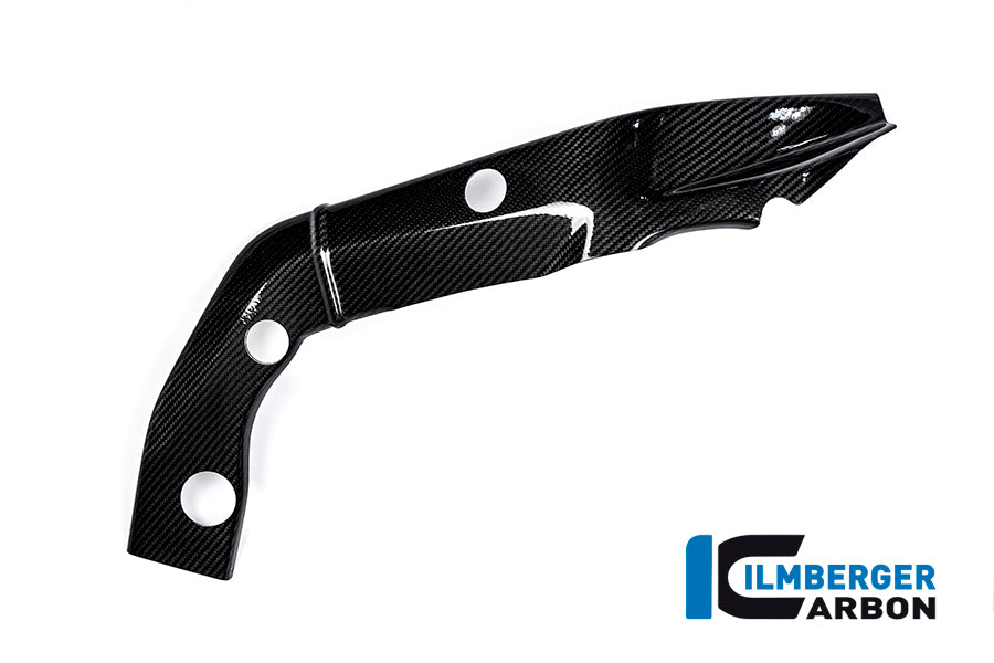 FRAMECOVER RIGHT CARBON - BMW S 1000 R
