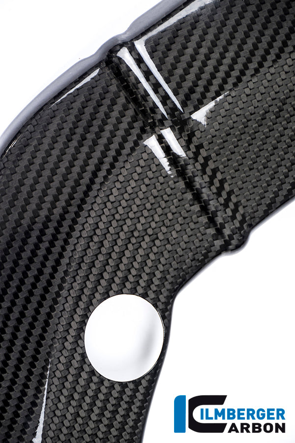 FRAMECOVER RIGHT CARBON - BMW S 1000 R