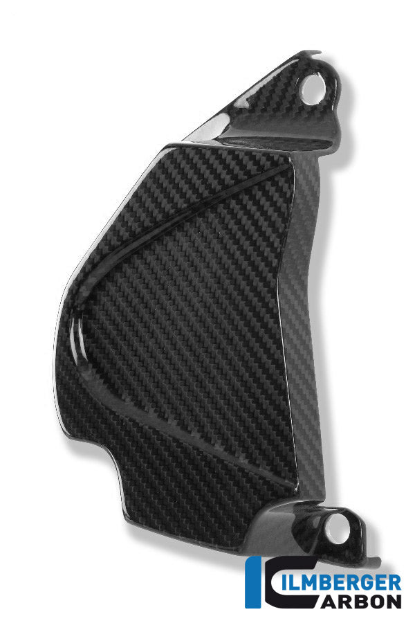 FRONT SPROCKET COVER CARBON - BMW S 1000 R (2014-NOW / S 1000 RR STREET (2015-NOW)