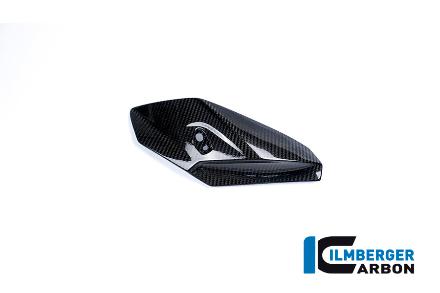 FRONT FAIRING SIDE PANEL RIGHT SIDE CARBON - BMW S 1000 R
