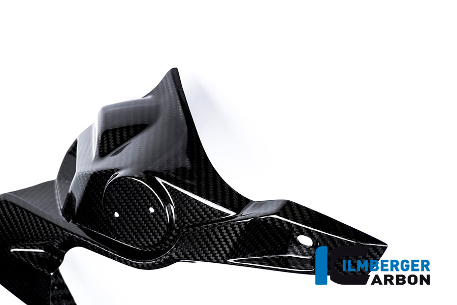 WATERCOOLER COVER LEFT SIDE CARBON - BMW S 1000 R