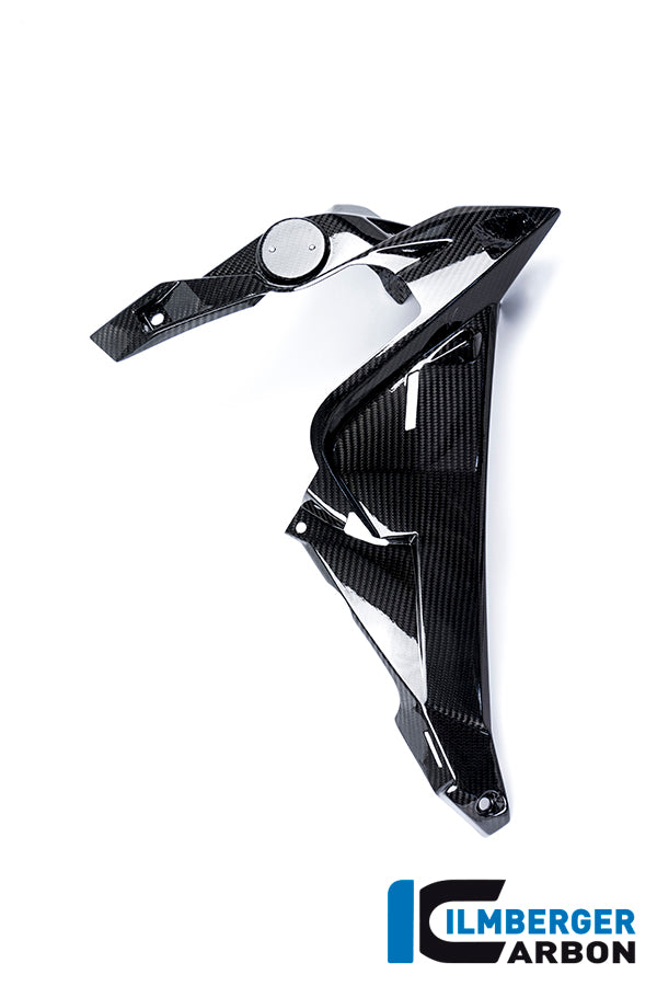 WATERCOOLER COVER RIGHT SIDE CARBON - BMW S 1000 R MY FROM 2014