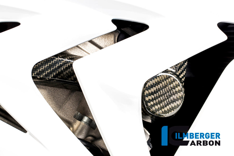 CRASHPADE ON THE FRAME (RIGHT) CARBON - BMW S 1000 RR STREET (2015-NOW) / BMW S 1000 R (2014-NOW)