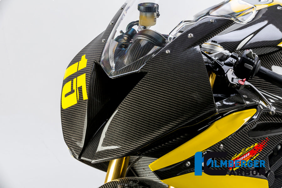 FRONT RACE FAIRING CARBON - BMW S 1000 RR (FROM 2015)