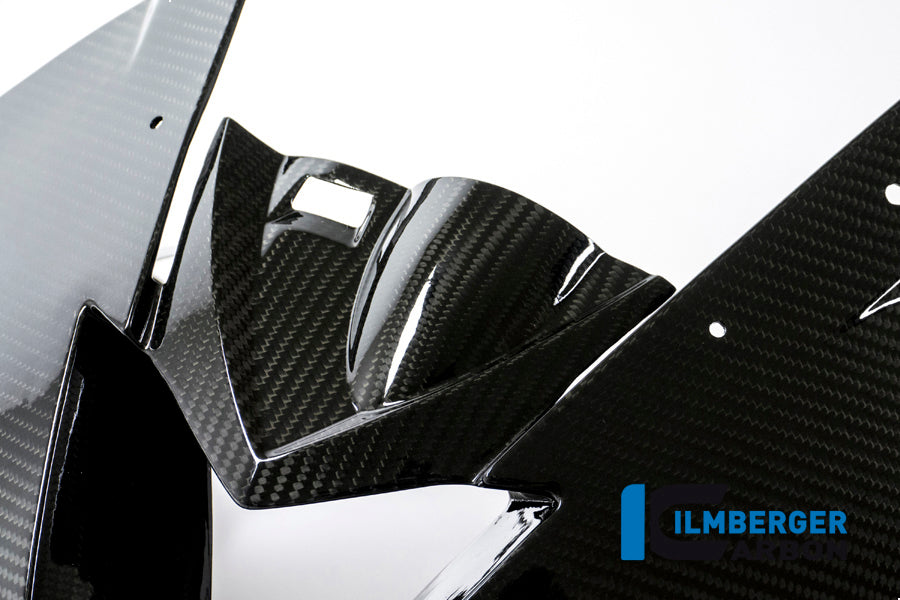 FRONT RACE FAIRING CARBON - BMW S 1000 RR (FROM 2015)