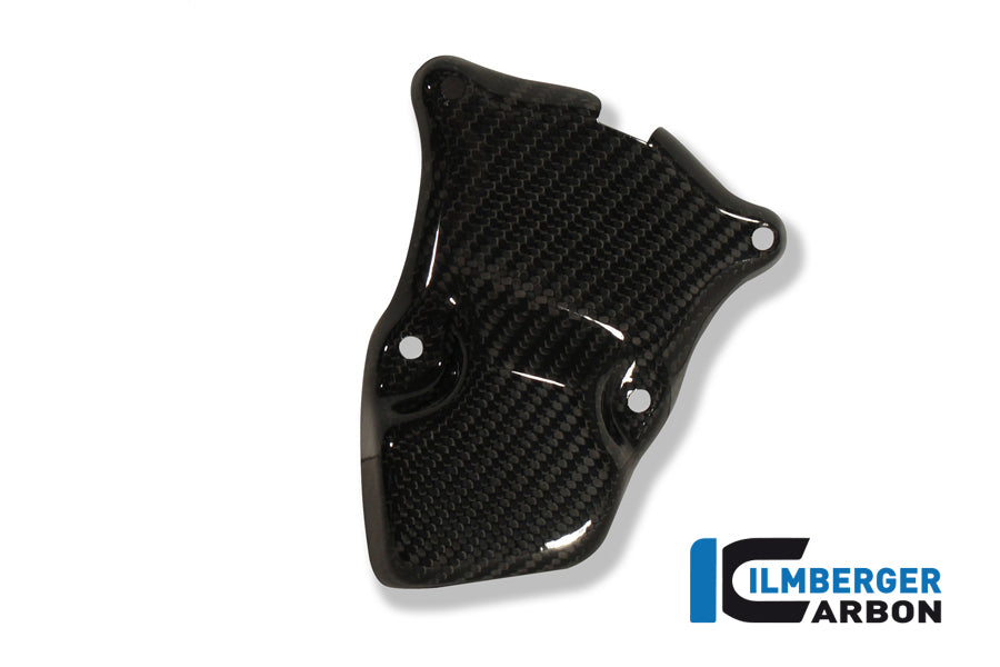 IGNITION ROTOR COVER CARBON - BMW S 1000 RR STOCKSPORT/RACING (2010-NOW)