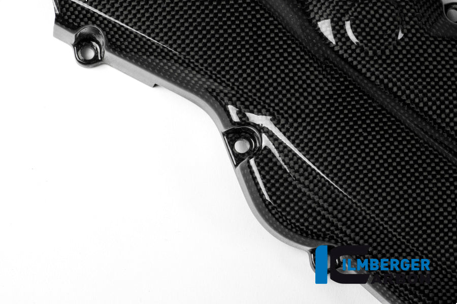 BELTCOVER GLOSSY CARBON - DUCATI MONSTER 1200 /1200 S